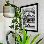 Staytime - Magnolia دريسدن