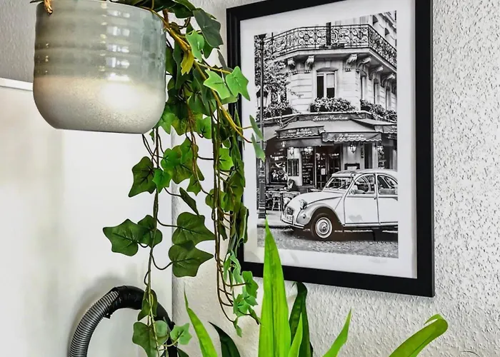 Staytime - Magnolia ドレスデン