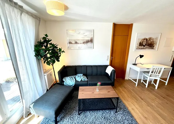 Staytime - Magnolia * Dresden